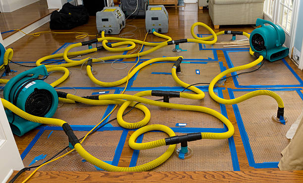 Professional Structural Drying And Dehumidification technician working in Darlington, WI